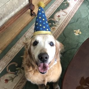 Meet your Posher, Susan